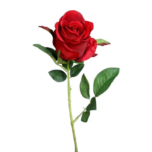 Rose 58cm
