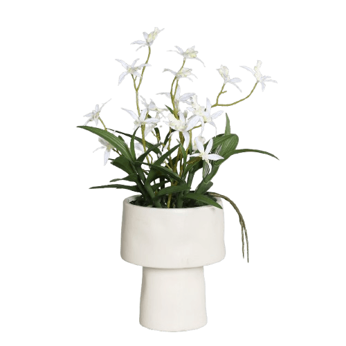 Orchideen Arrangement