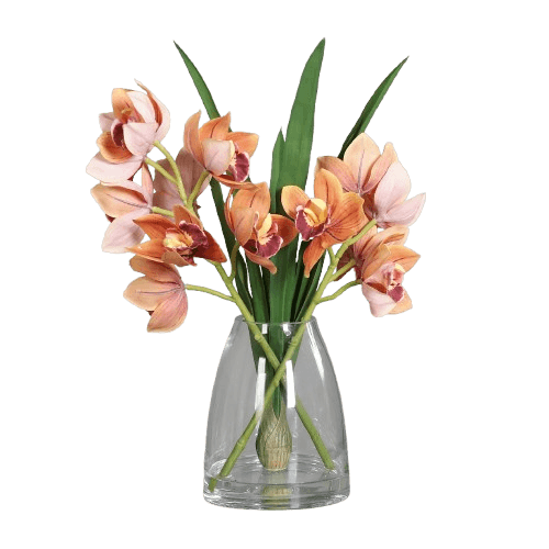 Orchidee Cymbidien