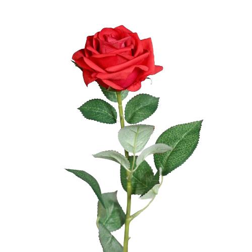 Rose Natural Touch 63cm