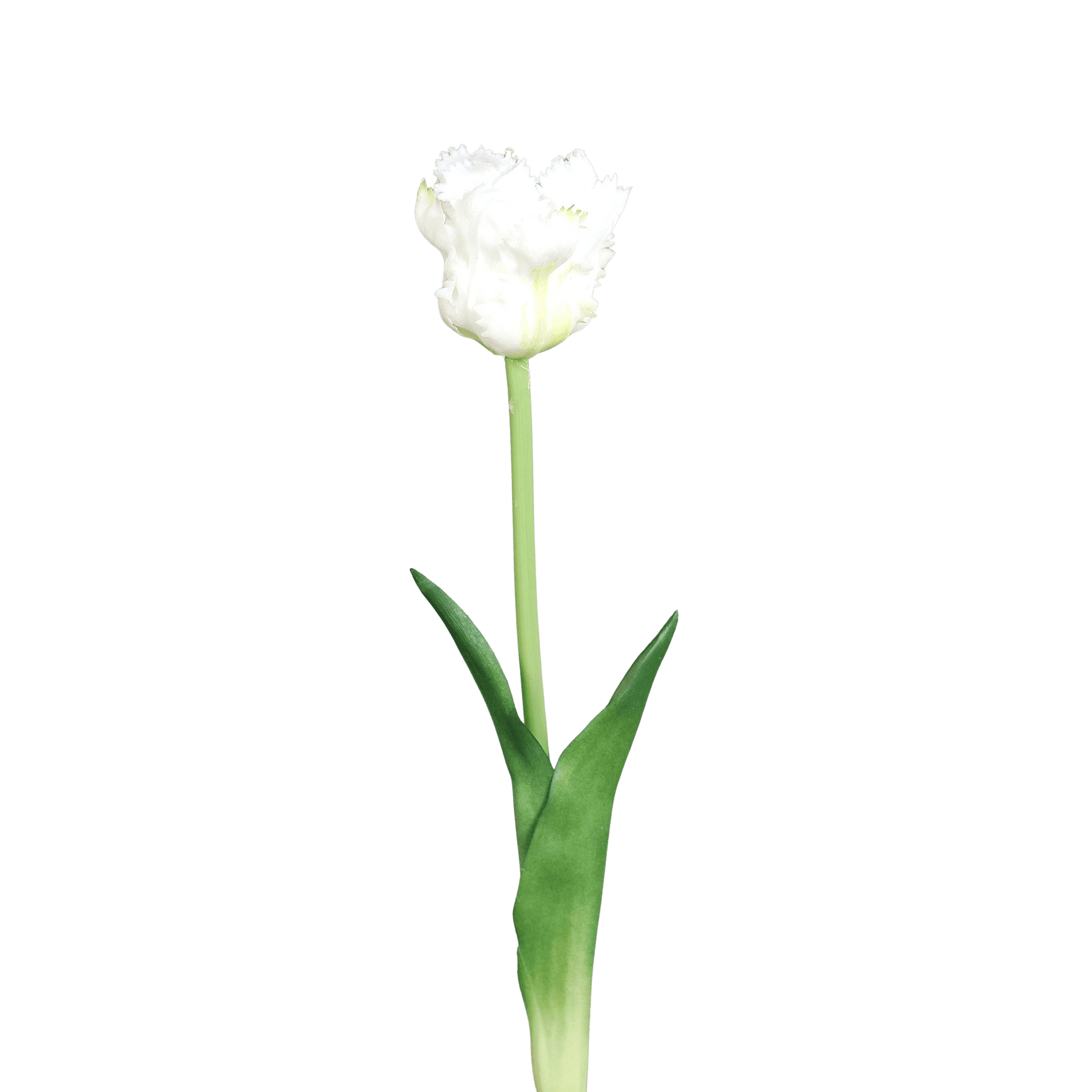 Tulpe Real Touch Pur 45cm