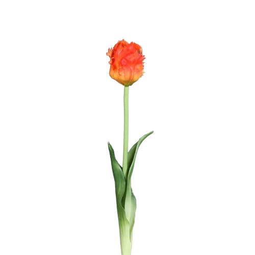 Tulpe Real Touch Pur 45cm