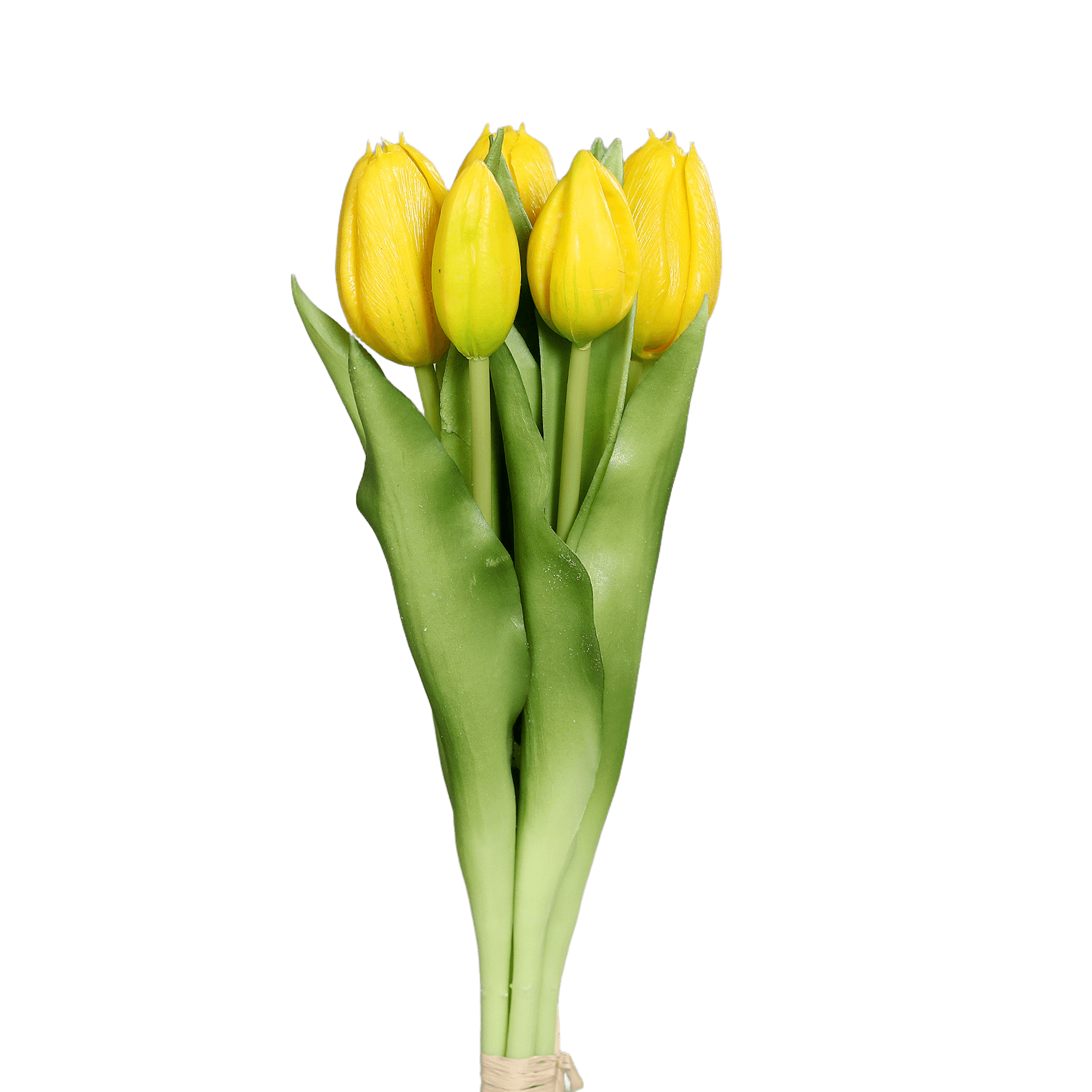 Kunstblume Tulpen Bund