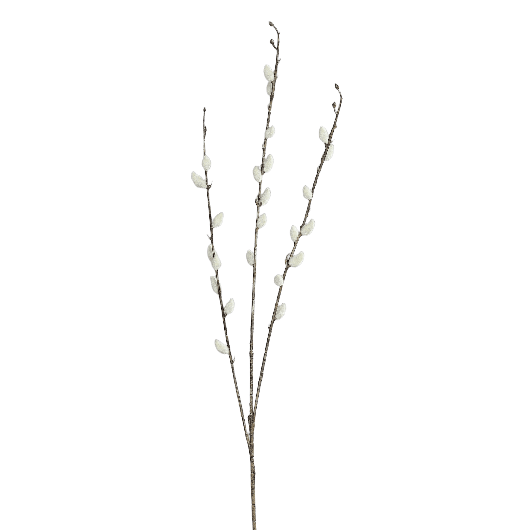 Weidenkätzchen Zweig 62cm