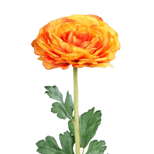 Kunstblume Ranunkel 