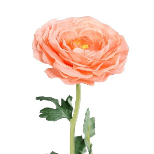 Kunstblume Ranunkel