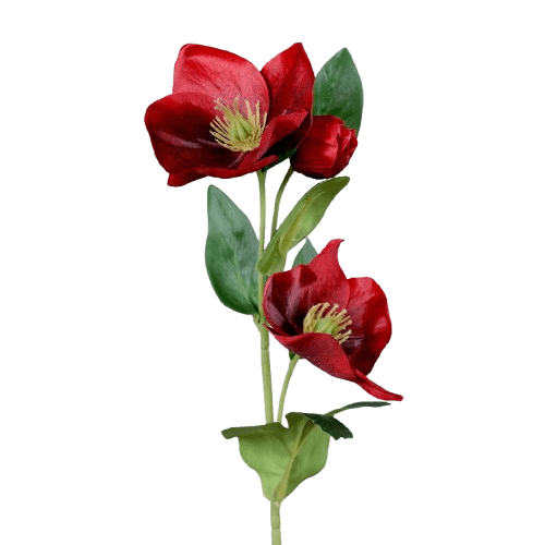 Kunstblume Christrose