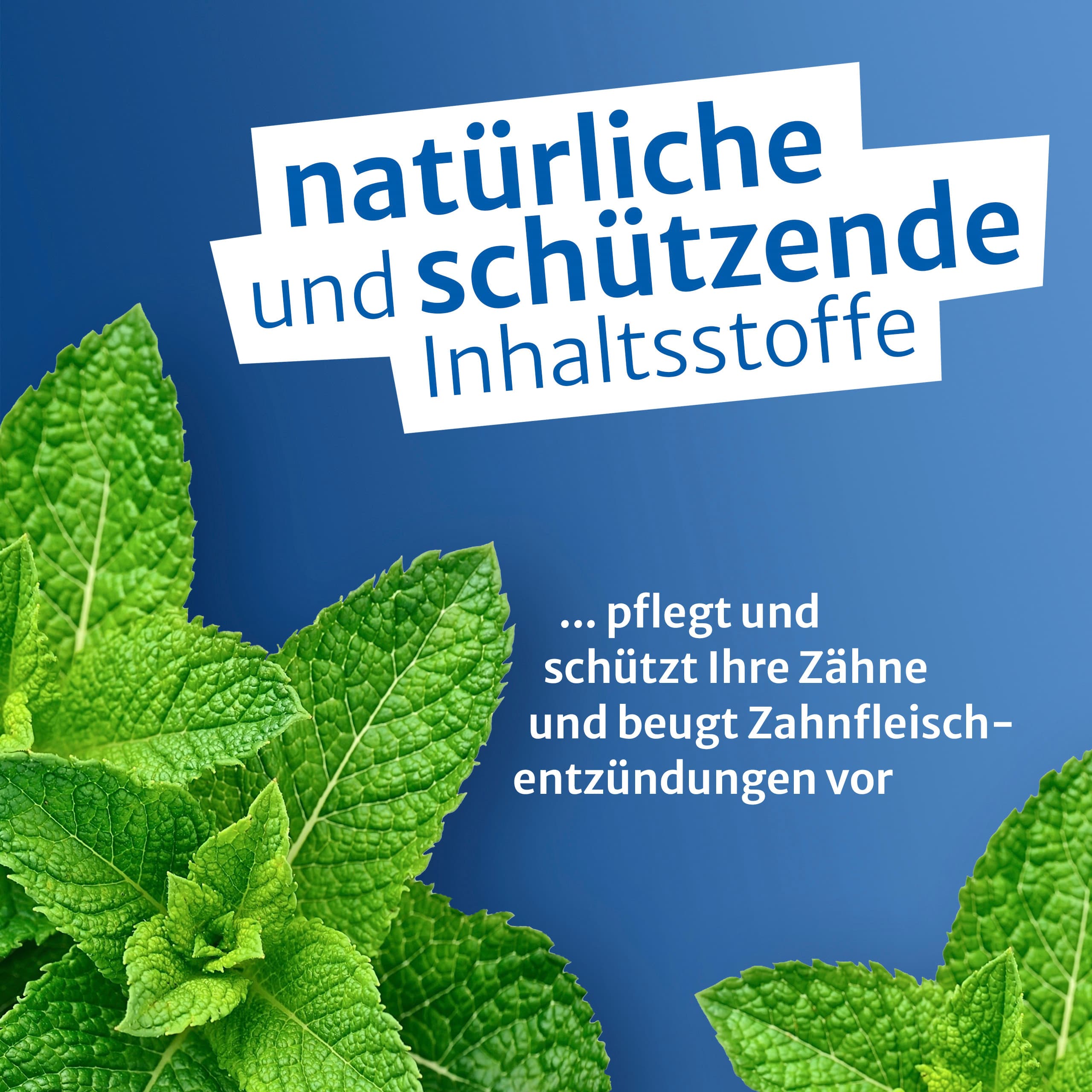 Produktbild One Drop Only Zahncreme Konzentrat 6 von 8