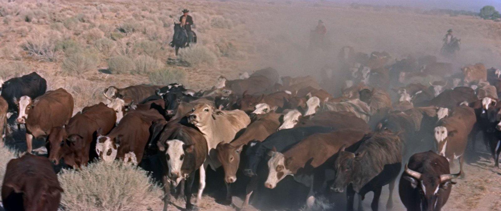 Produktbild Die Rache des Texaners - Kinofassung (digital remastered) 9 von 10
