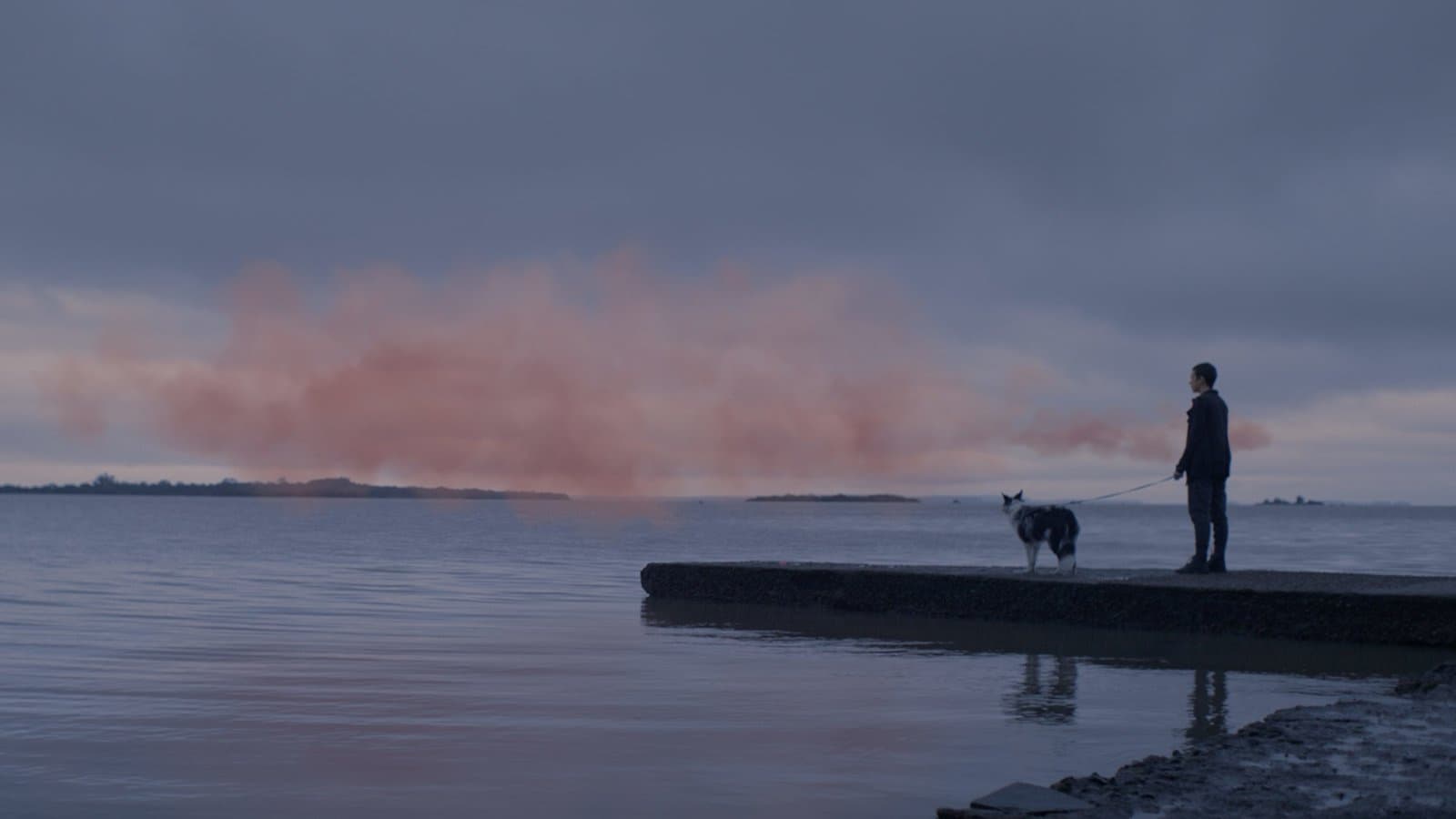 Produktbild The Pink Cloud - Zusammen. Allen. Für immer 6 von 6