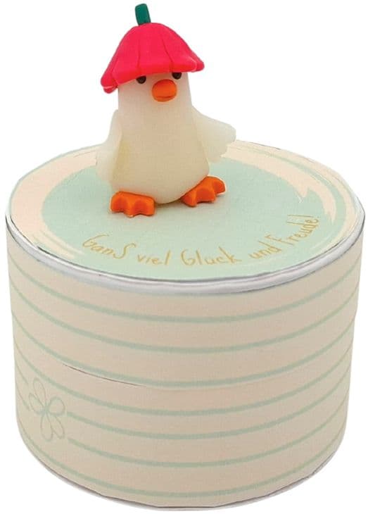 HERGO Geschenkschachtel Frühlingsboten GanS viel Glück