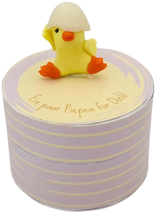 HERGO Geschenkschachtel Frühlingsboten Ein paar Piepen