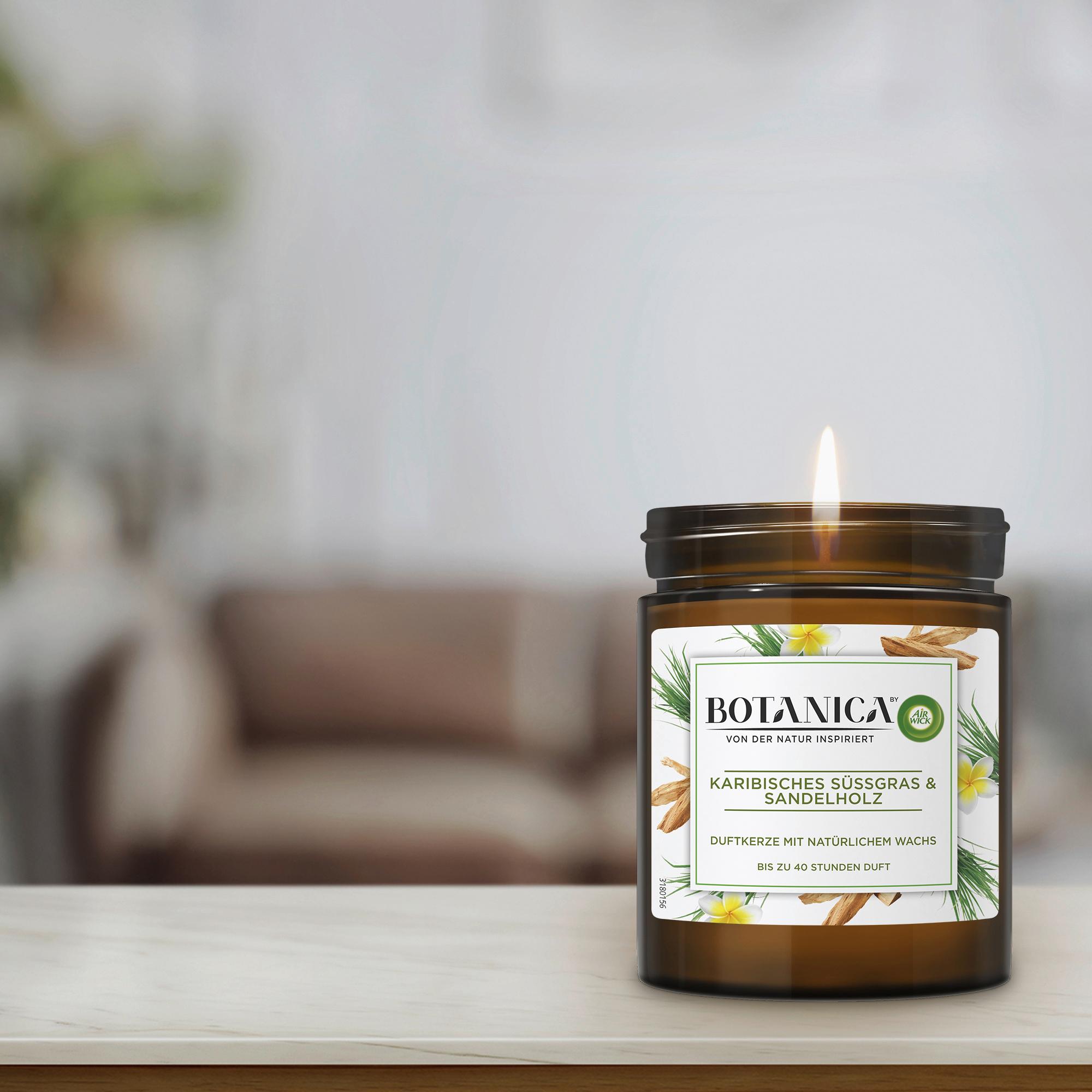 Produktbild Air Wick Botanica Duftkerze Karibisches Süßgras&Sandelholz 7 von 8