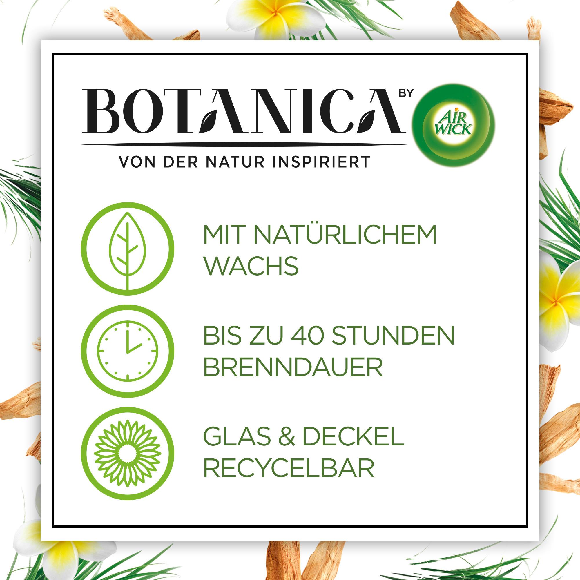 Produktbild Air Wick Botanica Duftkerze Karibisches Süßgras&Sandelholz 6 von 8