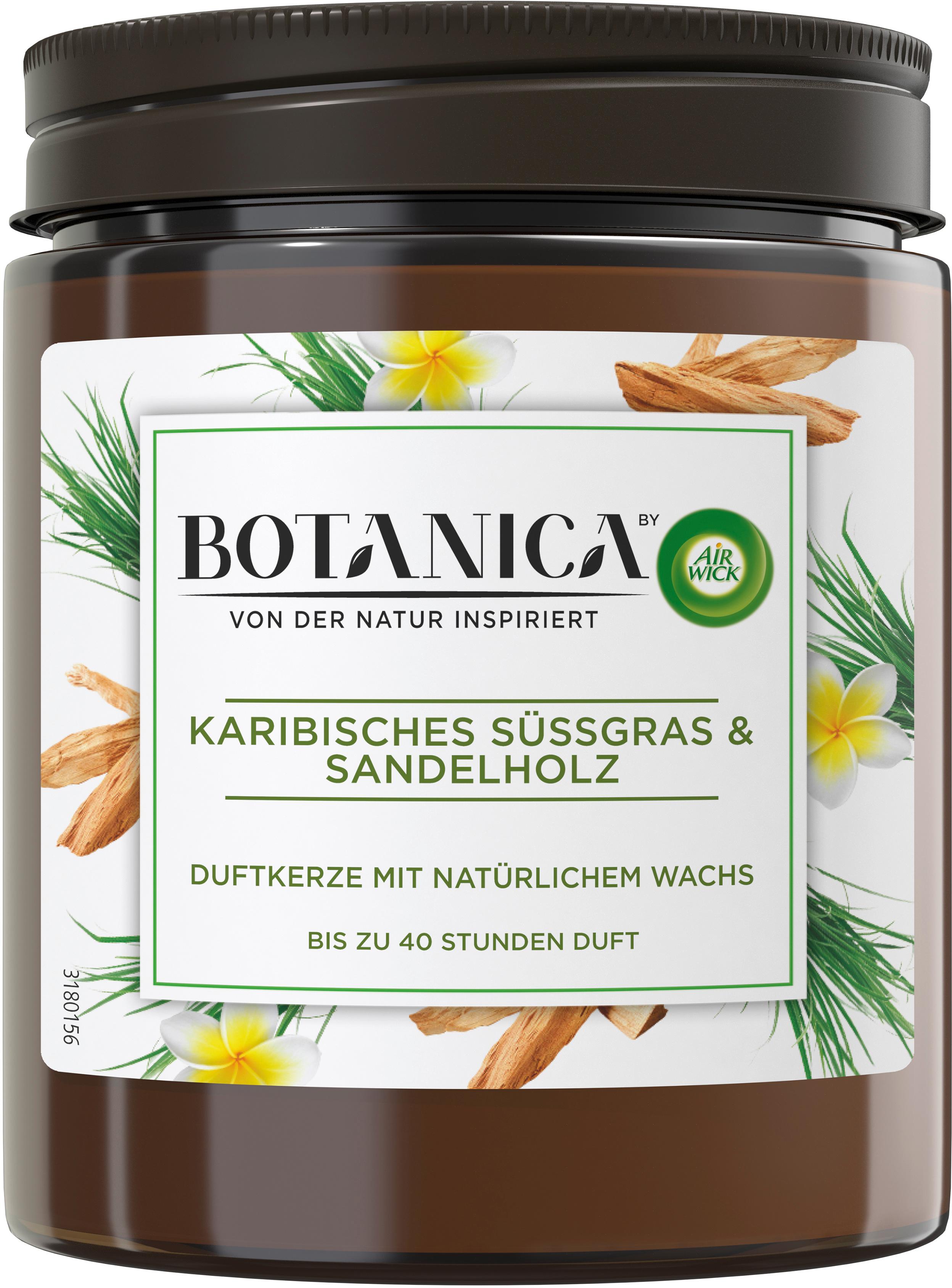 Air Wick Botanica Duftkerze Karibisches Süßgras&Sandelholz
