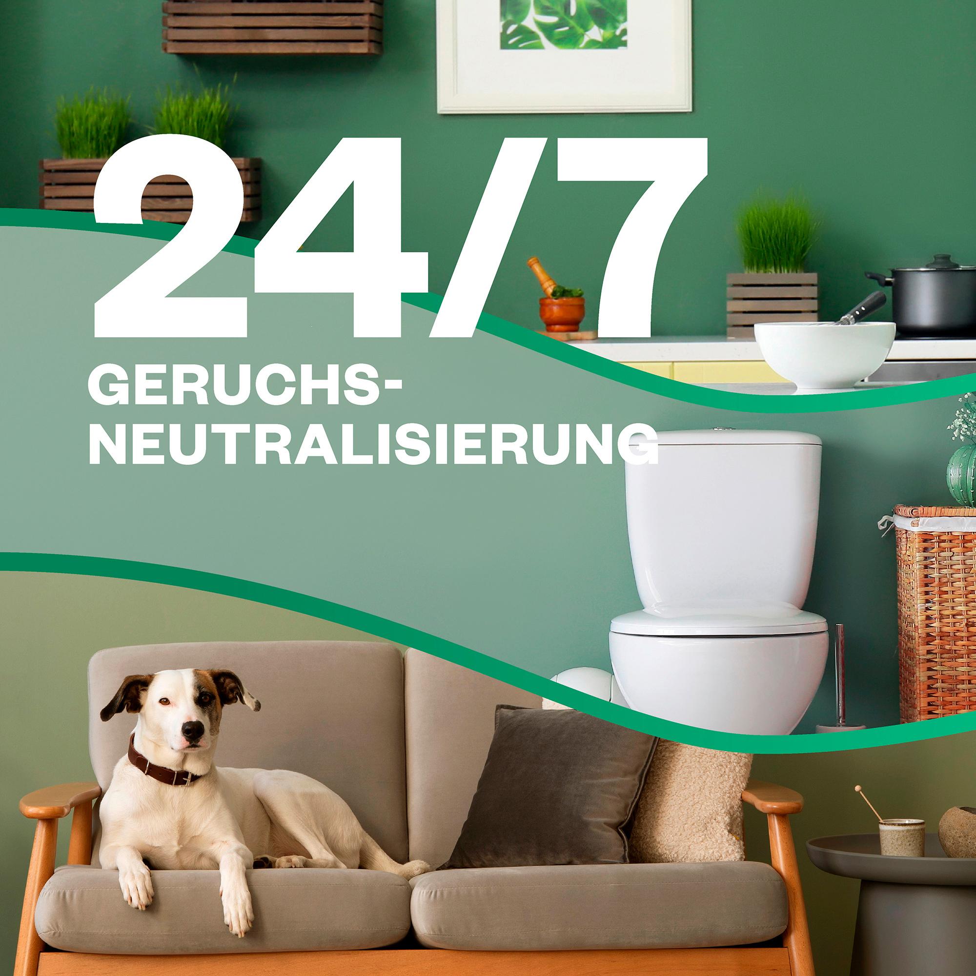 Produktbild Air Wick Active Fresh Aerosolfreies Automatisches Duftspray Jasminblüte Nachfüllung 8 von 8