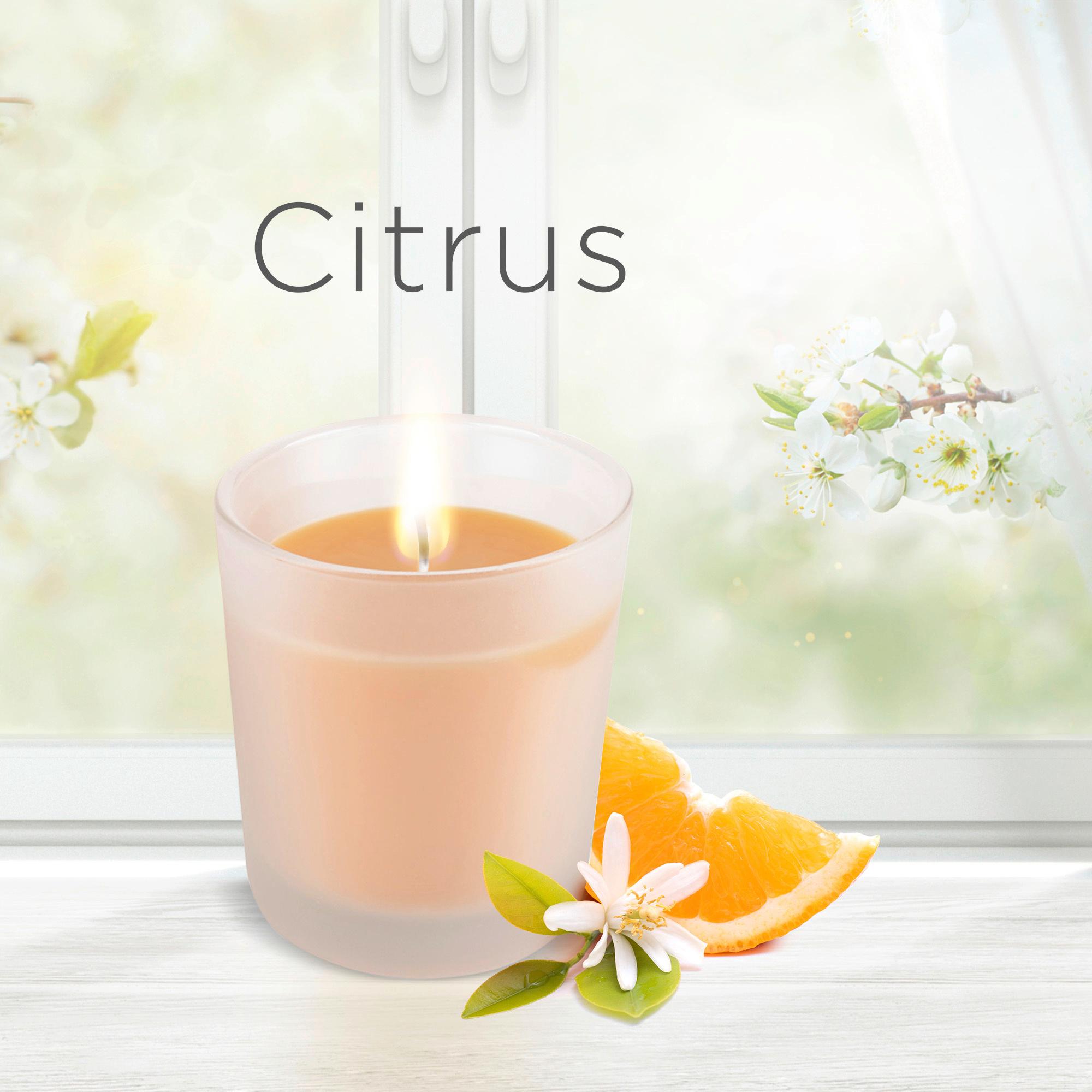 Produktbild Air Wick Duftkerze Anti-Tabak-Orange 7 von 12