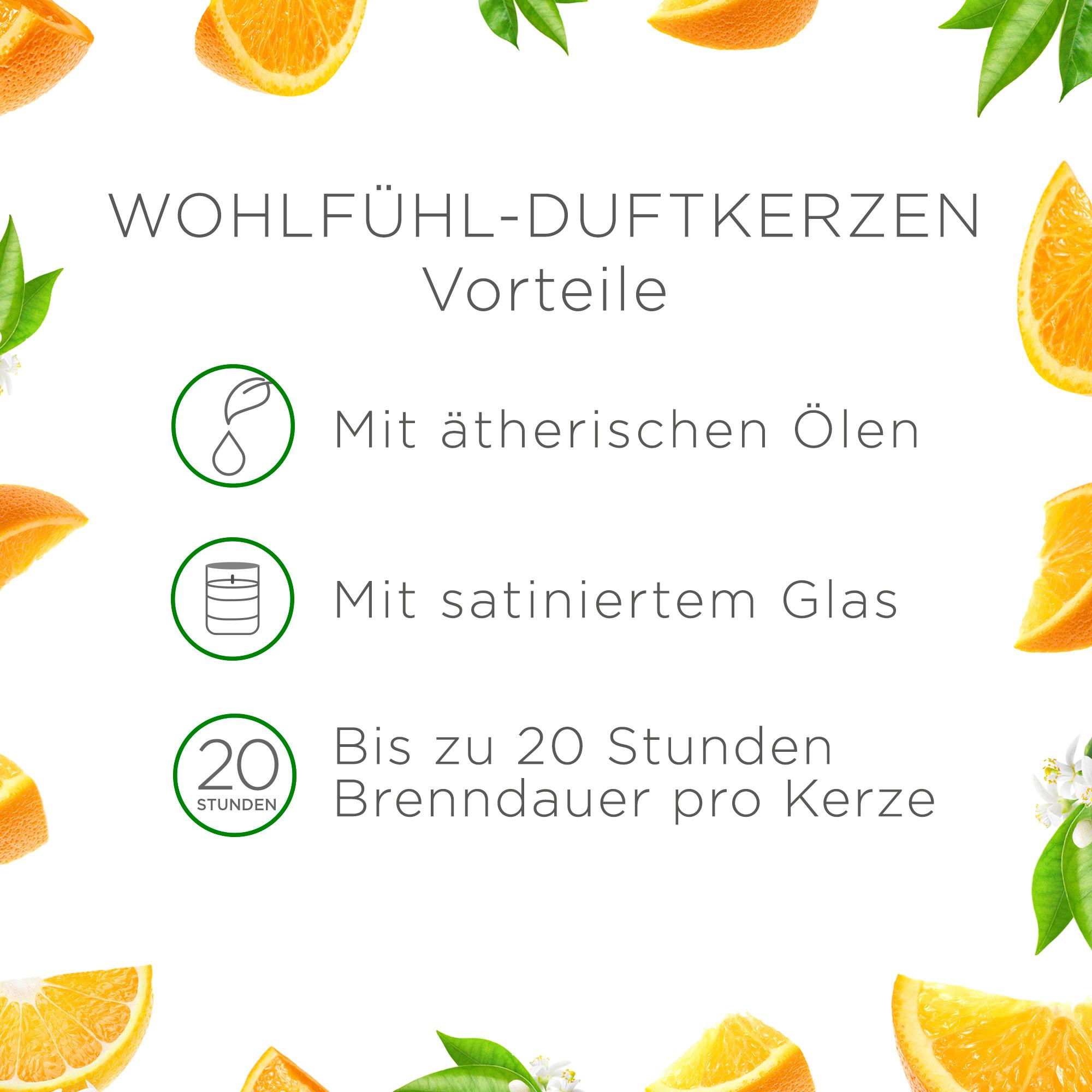 Produktbild Air Wick Duftkerze Anti-Tabak-Orange 5 von 12