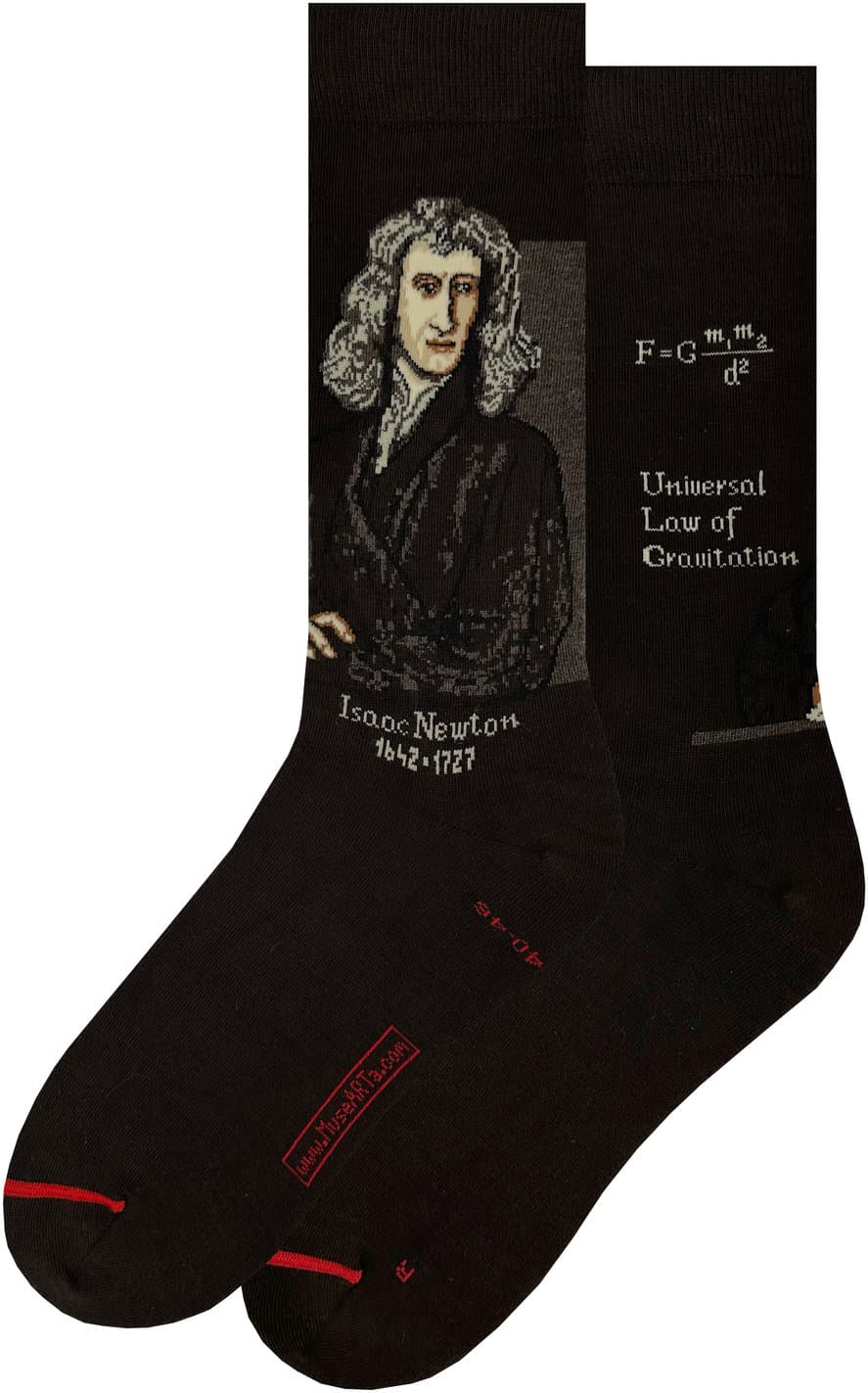 MuseARTa Unisex Socken Science & History - Isaac Newton