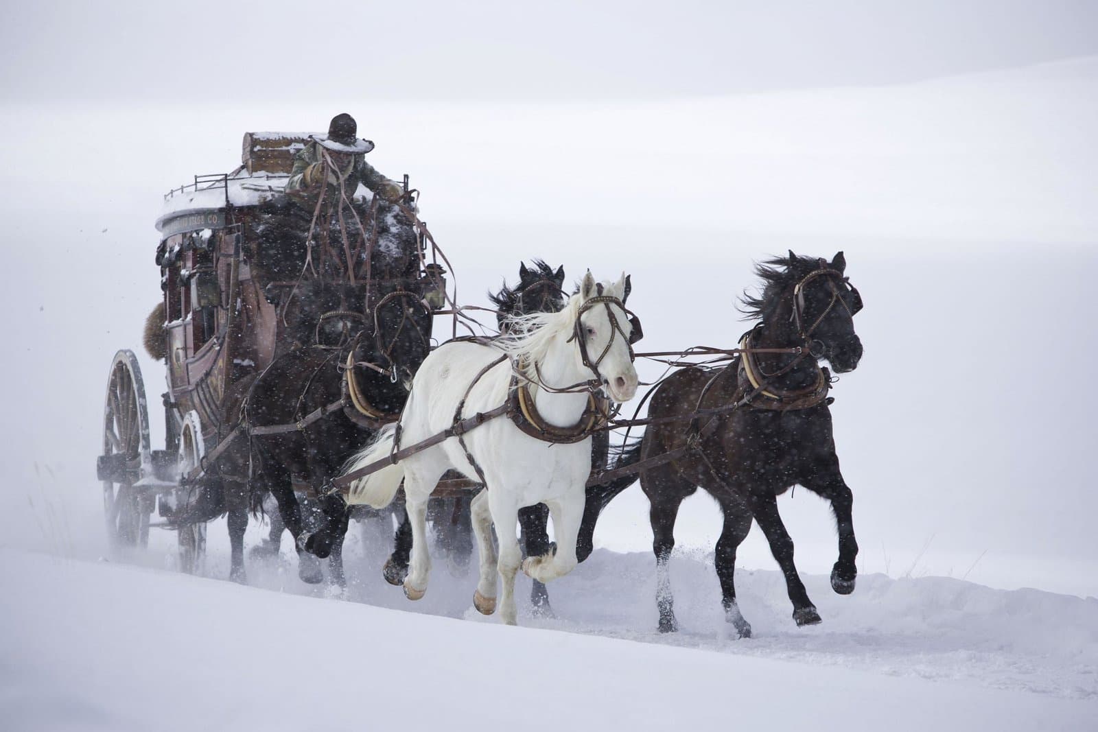 Produktbild The Hateful 8 - 2-Disc Mediabook Cover B (Blu-ray + DVD) Limited 999 Edition 6 von 10