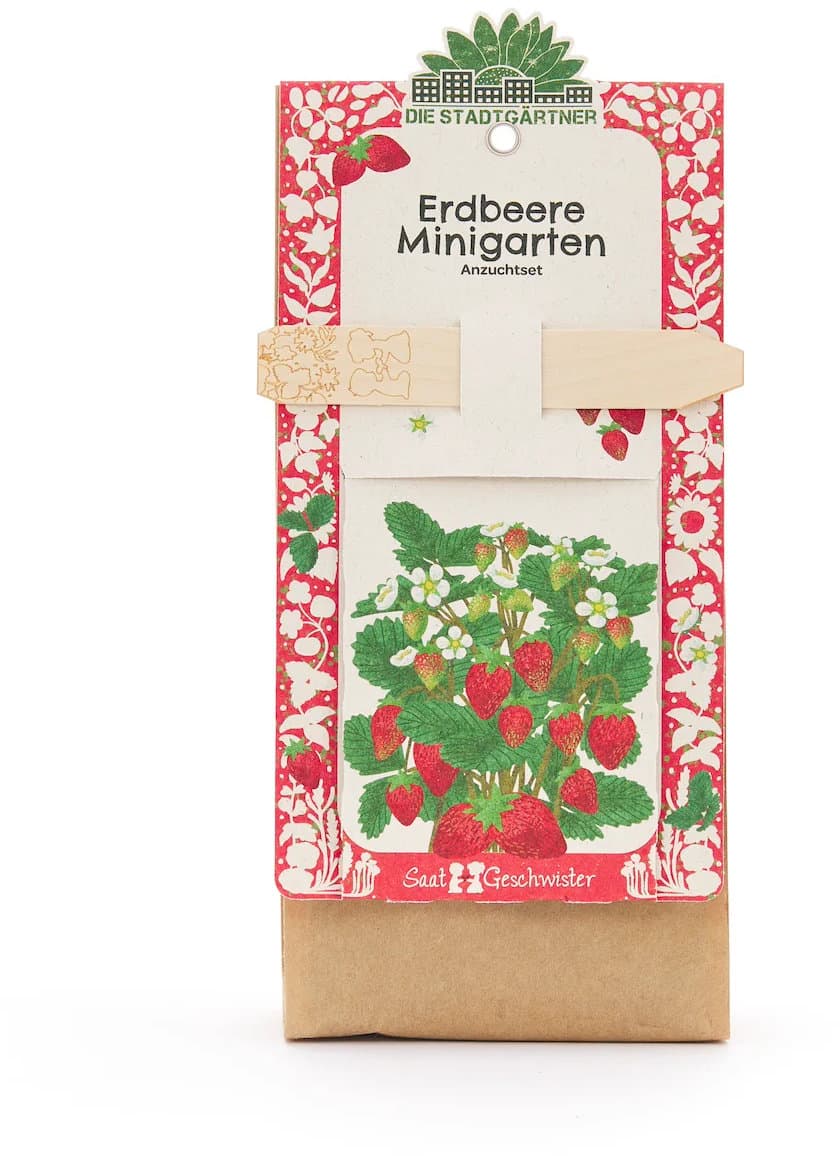 DIE STADTGÄRTNER Minigarten Erdbeere