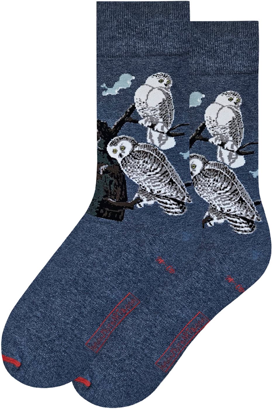 MuseARTa Unisex Socken John James Audubon - Snowy Owl