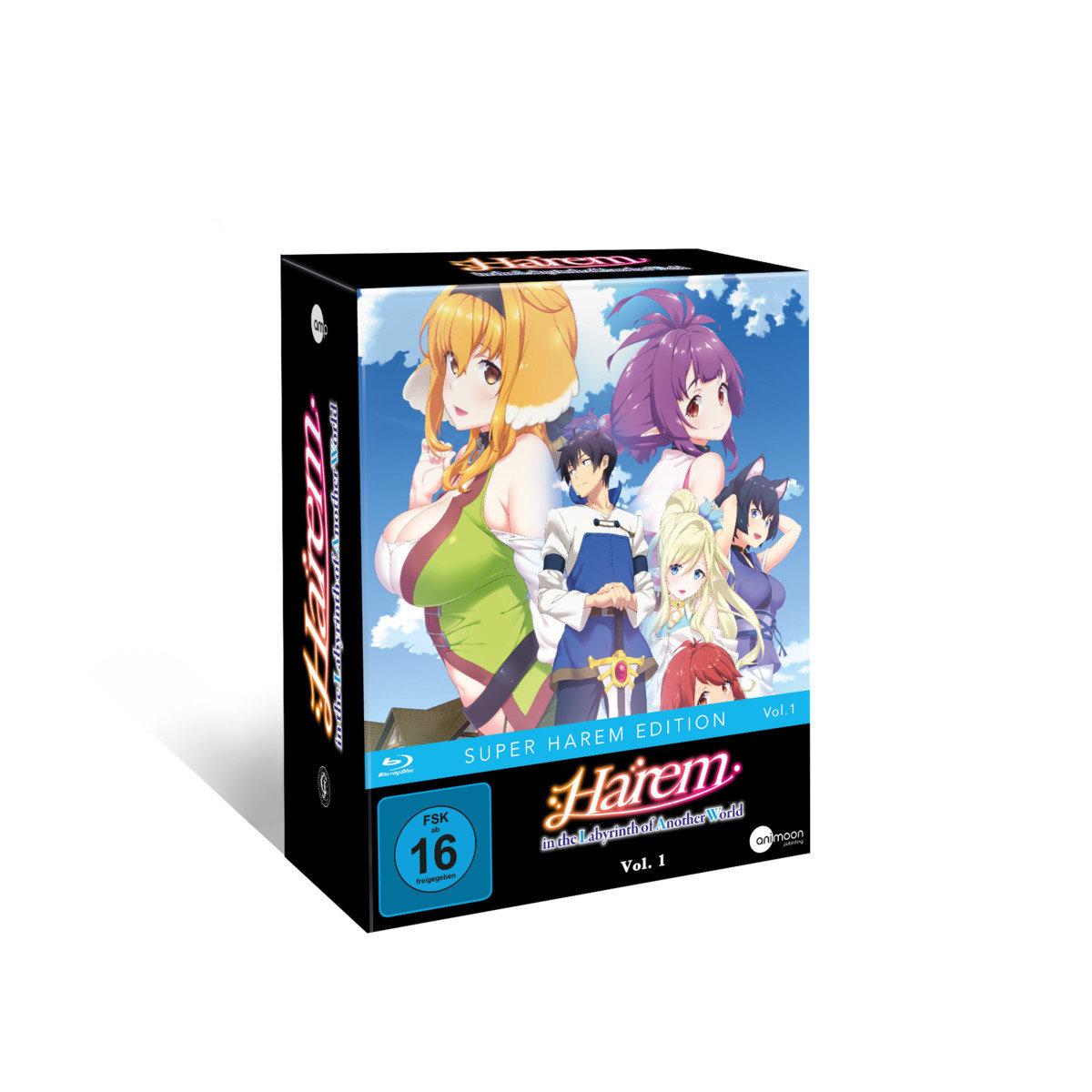 Harem in the Labyrinth of Another World - Vol. 1 mit Sammelschuber - Limited Edition