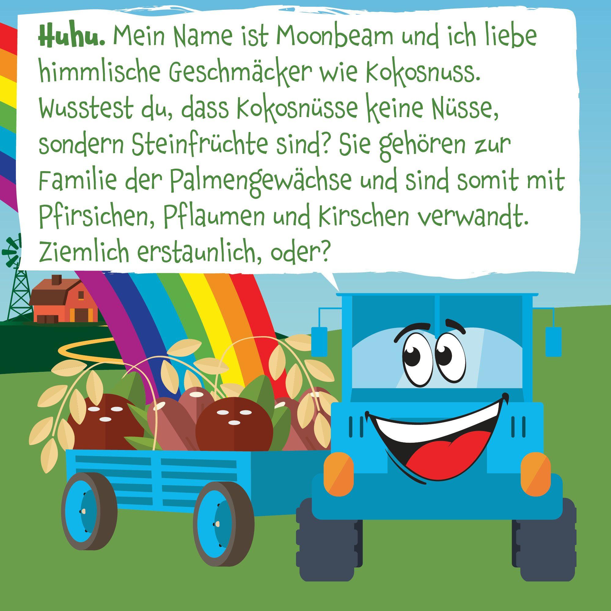 Produktbild pumpkin organics Bio Haferriegel mit Dattel&Kokos 7 von 10