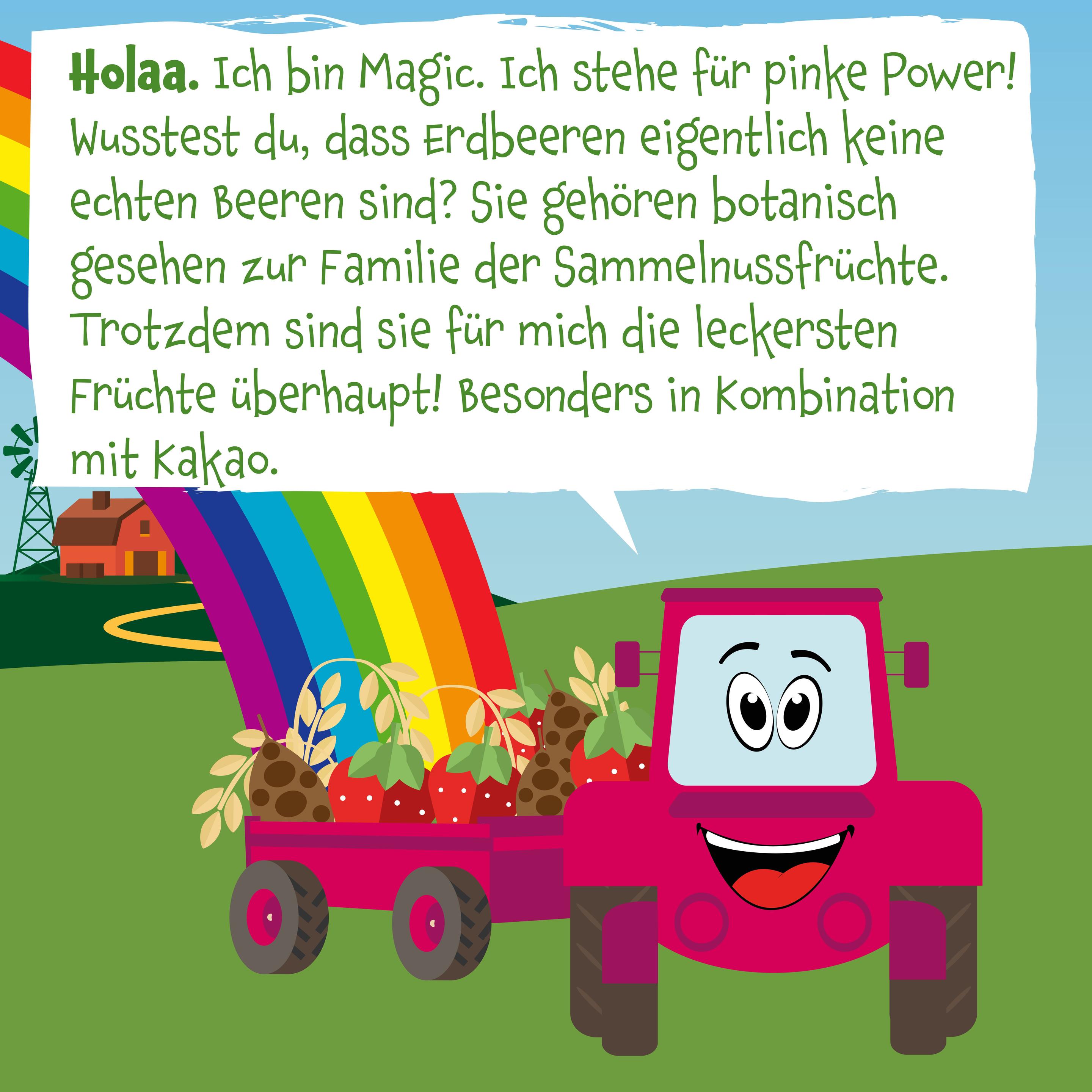 Produktbild pumpkin organics Bio Haferriegel mit Kakao&Erdbeere 5 von 10