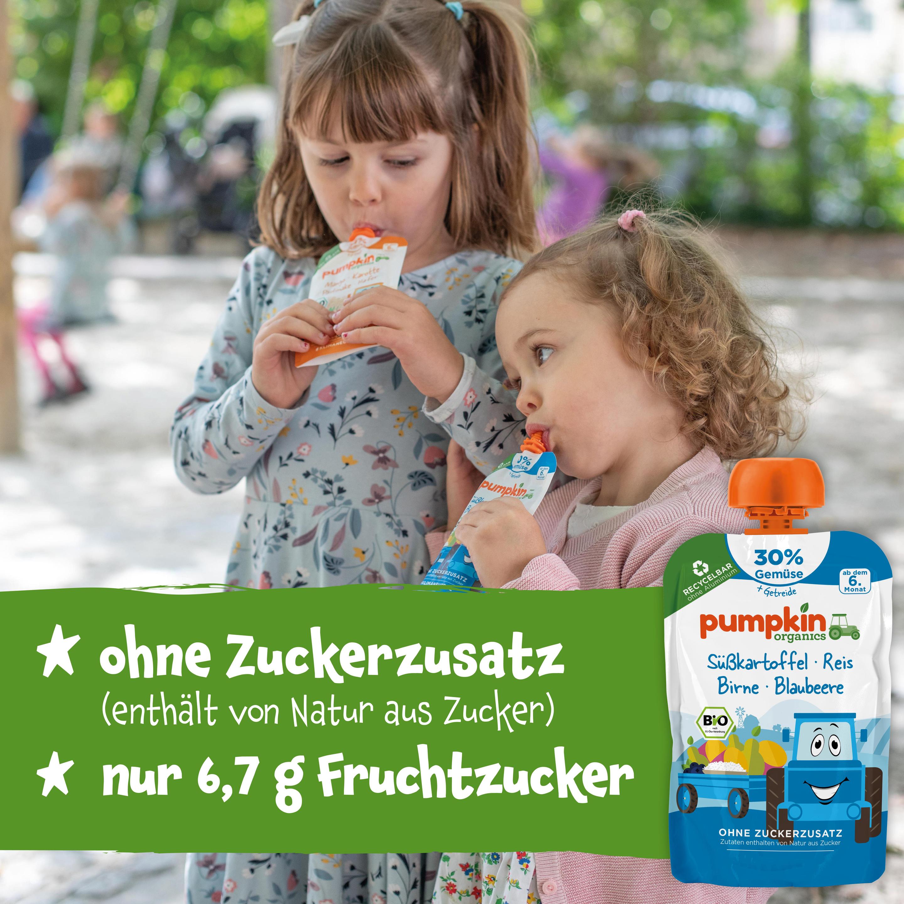 Produktbild pumpkin organics Bio Quetschie Süßkartoffel, Birne, Blaubeere, Reis 4 von 10