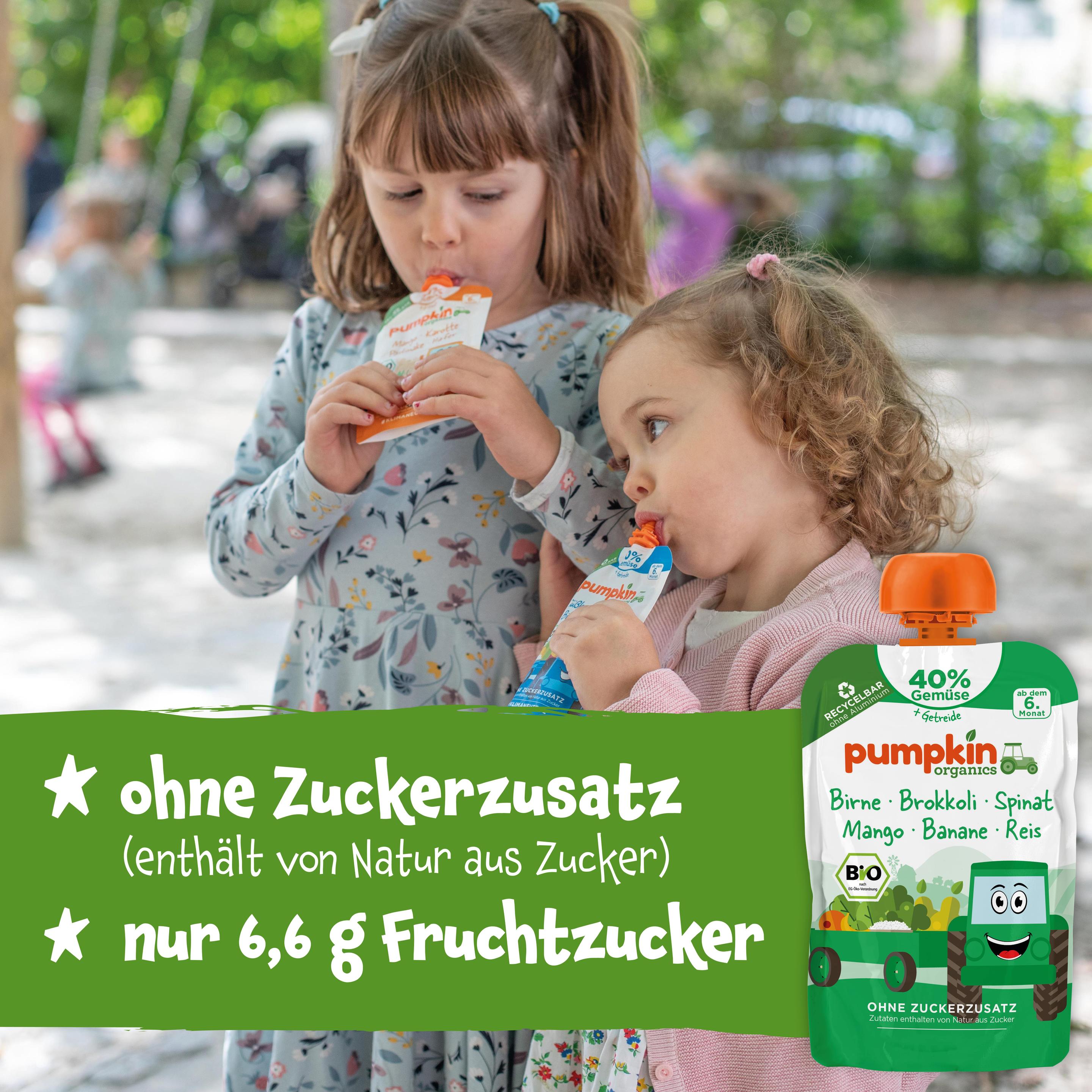 Produktbild pumpkin organics Bio Quetschie Birne, Brokkoli, Spinat, Mango 9 von 10