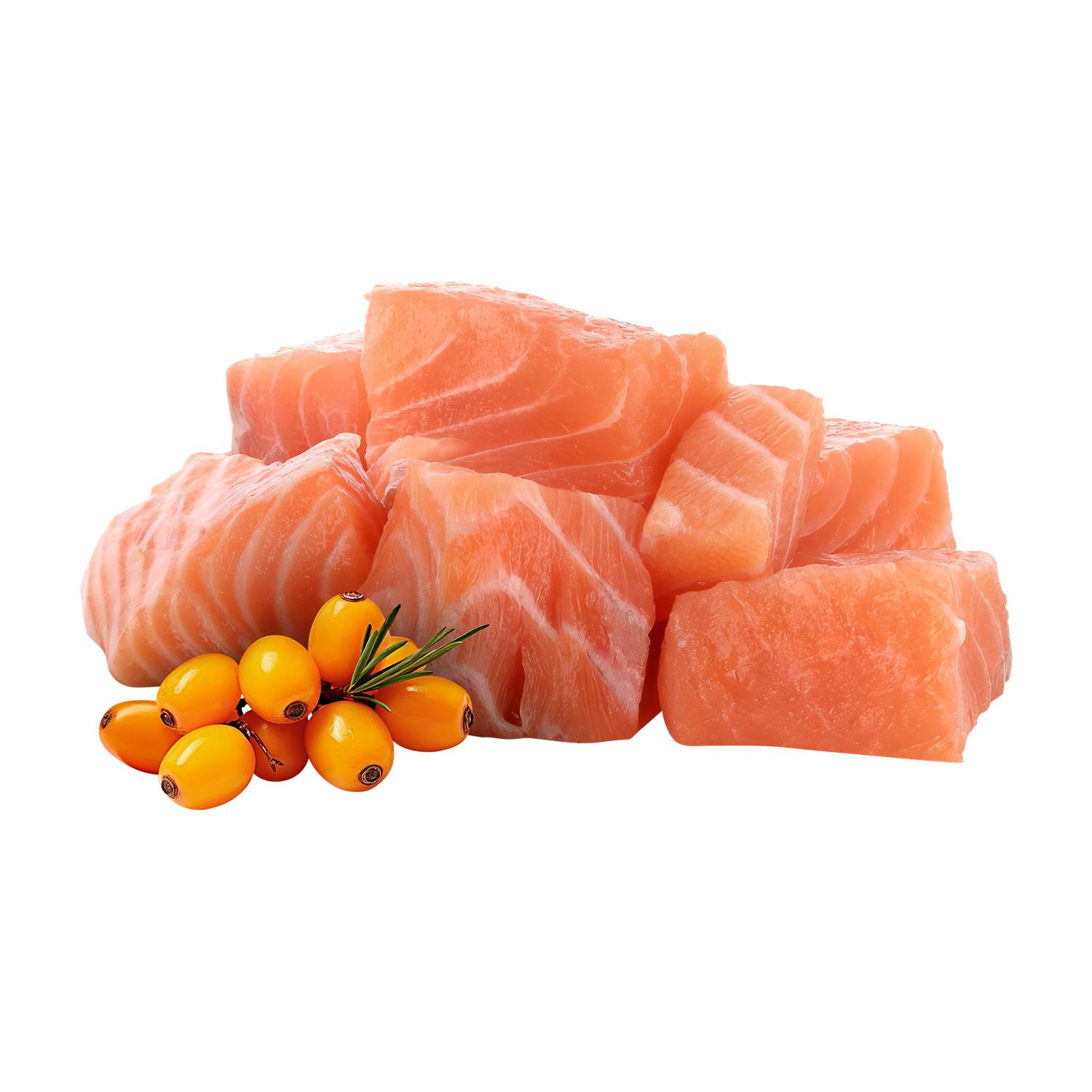 Produktbild Pawsome! Katzennassfutter Junior Lachs 3 von 3