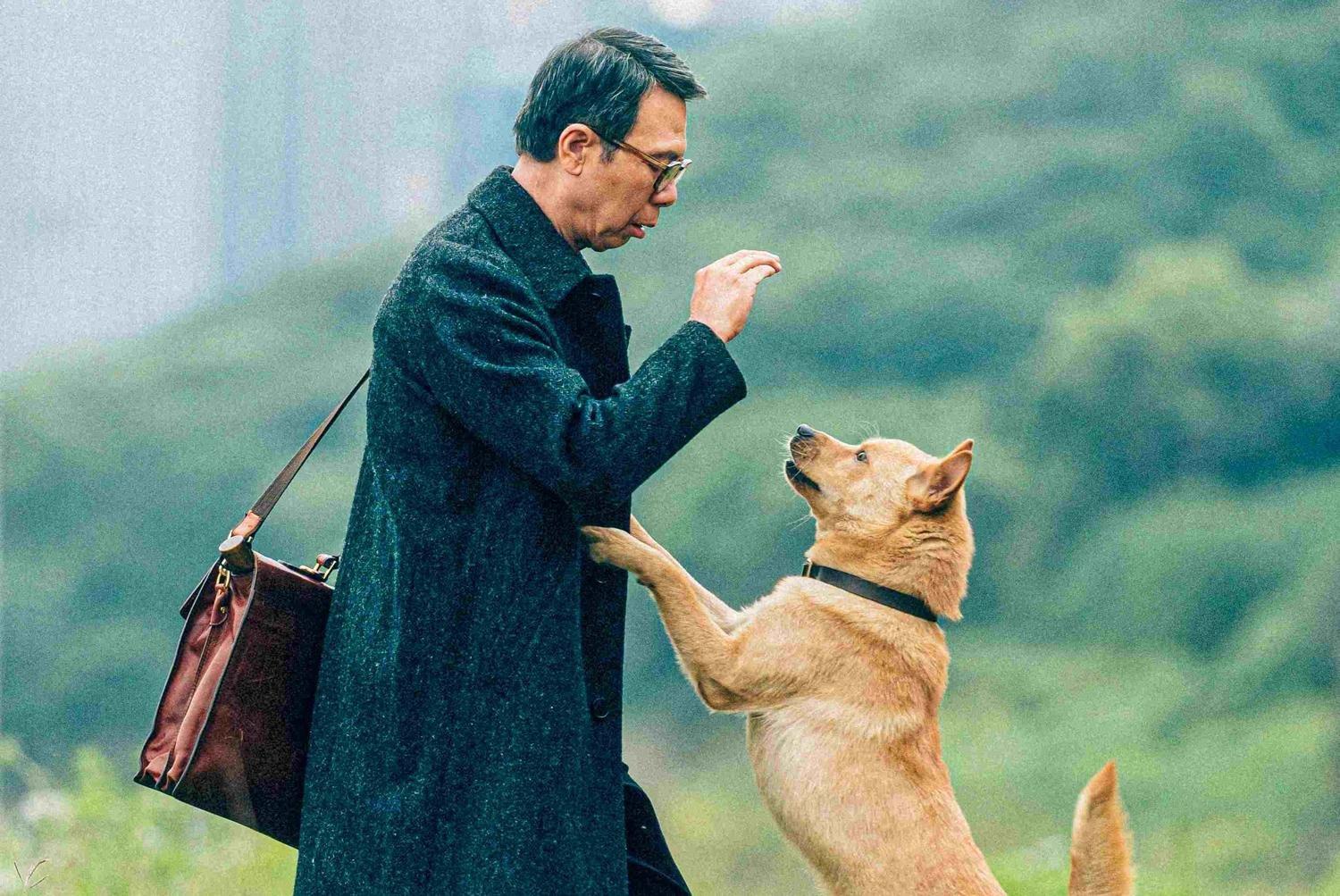 Produktbild Hachiko - Eine Freundschaft für die Ewigkeit! (2023) 7 von 7