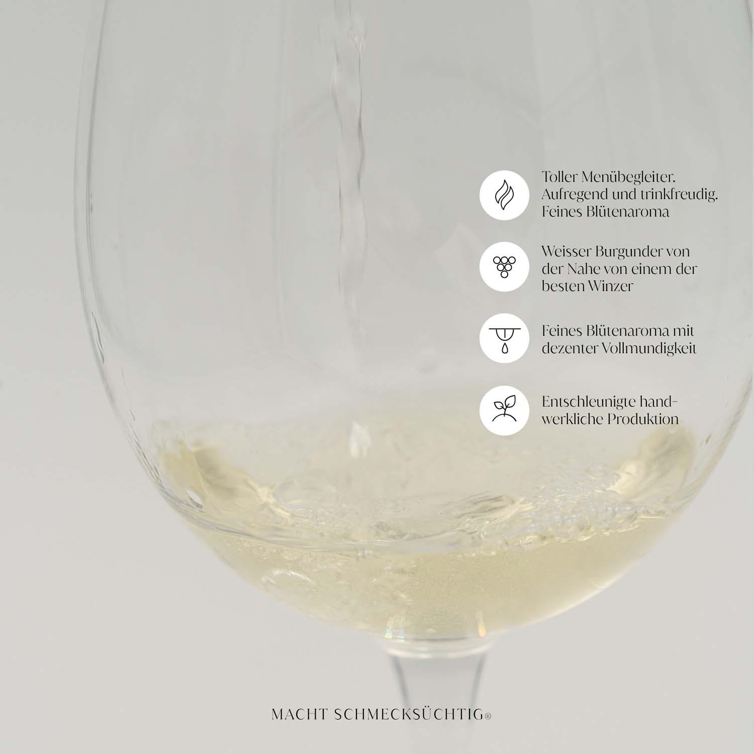 Produktbild THE GOLDEN CIRCLE Weisser Burgunder 2021 by Sascha Stemberg 2 von 4