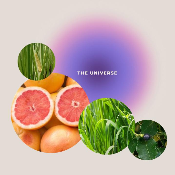 Produktbild GIVING LOVE TO Körper-&Massageöl Universe 5 von 7
