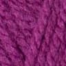 Fuchsia - 53