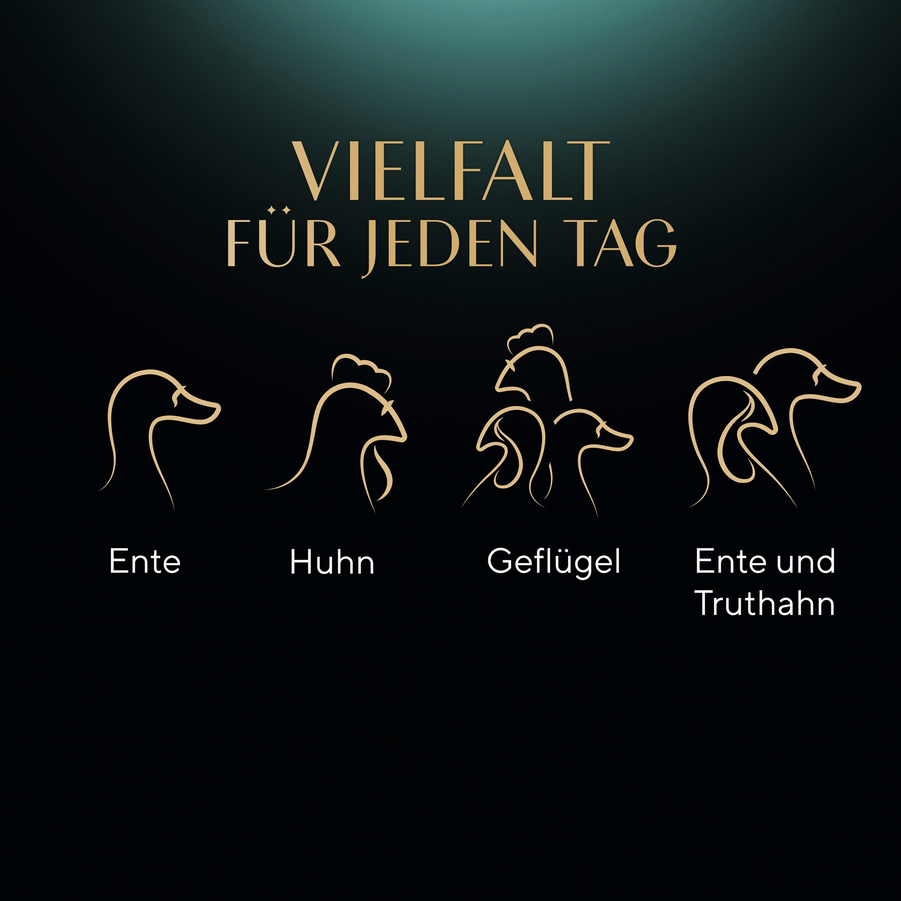 Produktbild SHEBA® Selection in Sauce Geflügel Variation Portionsbeutel 12x85g 9 von 16