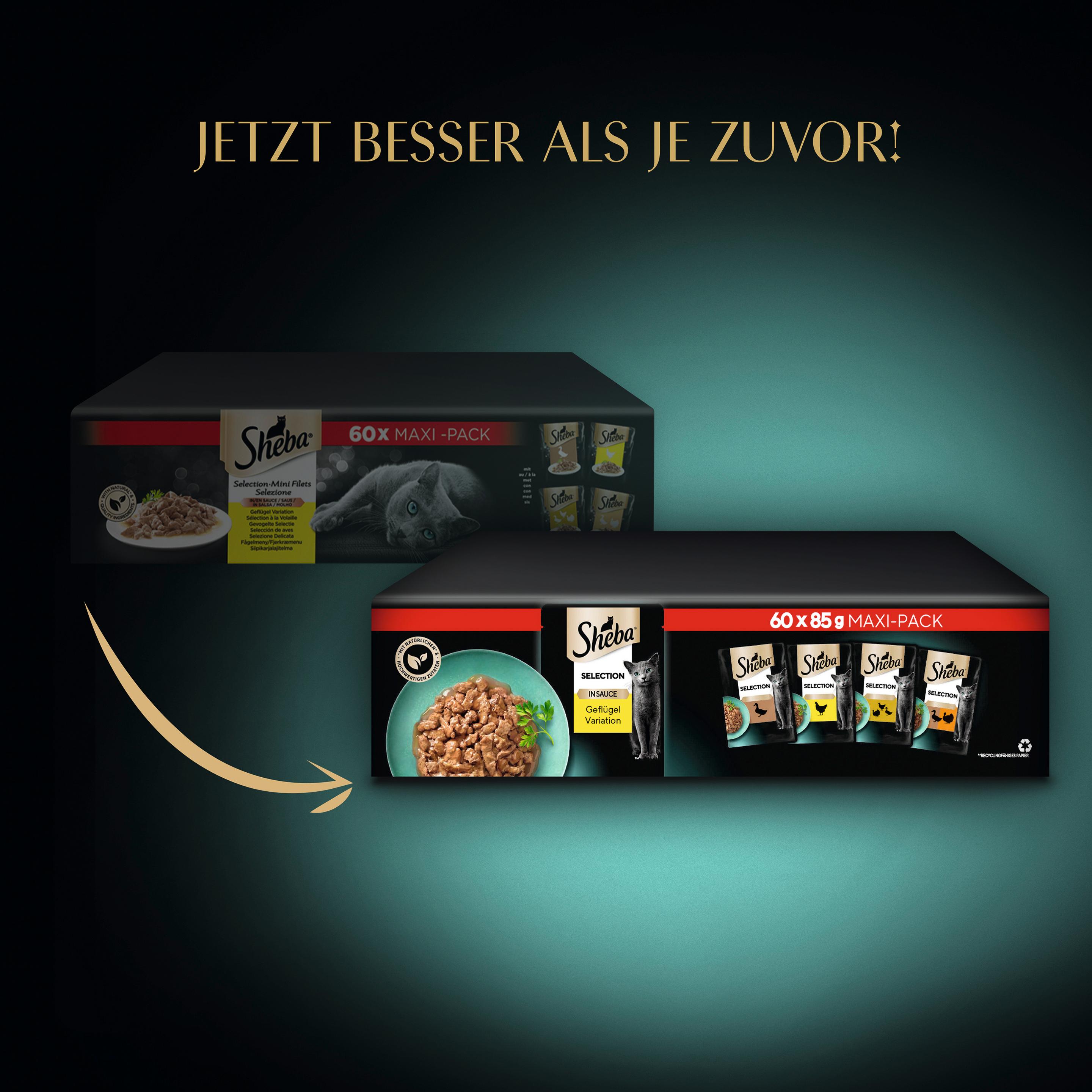 Produktbild SHEBA® Maxi-Pack Selection Mini Filets in Sauce Geflügel Variation 60x85g 5 von 6