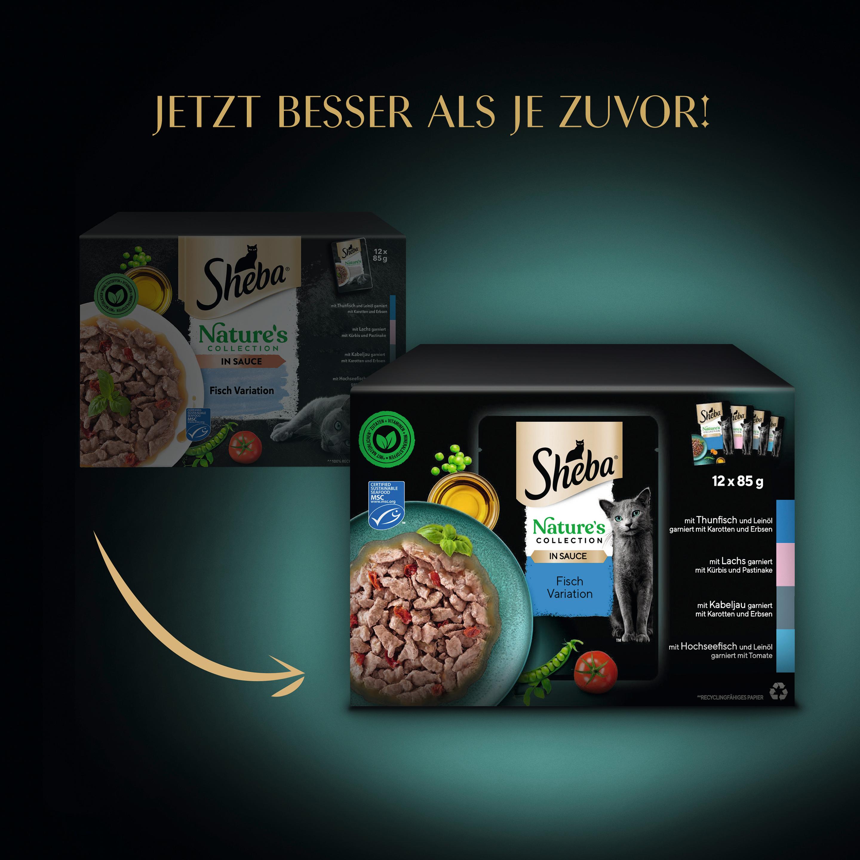 Produktbild Sheba Nature's Collection in Sauce Fisch Variation 12x85g 6 von 13