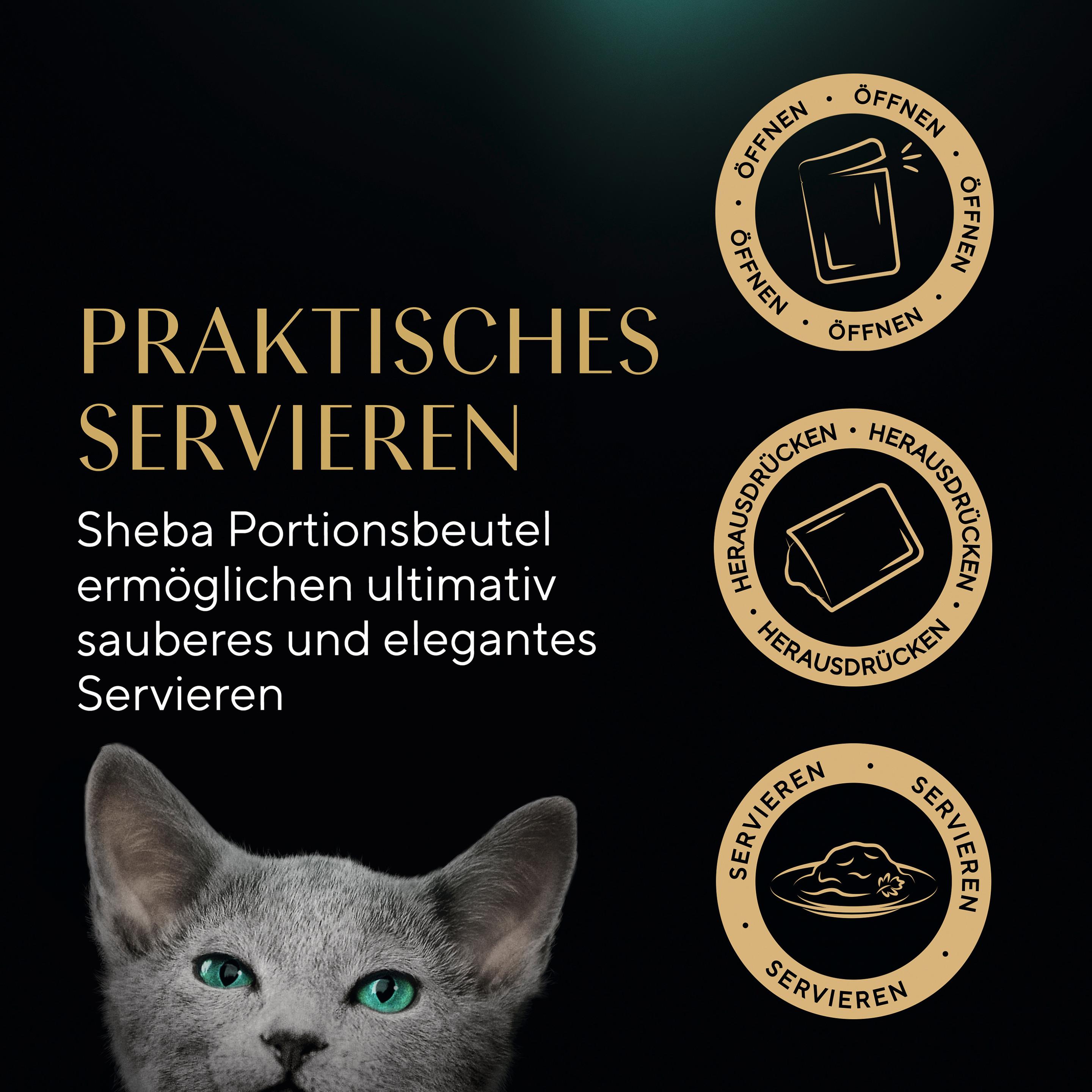 Produktbild Sheba Kitten in Sauce Feine Vielfalt 12x85g 3 von 14