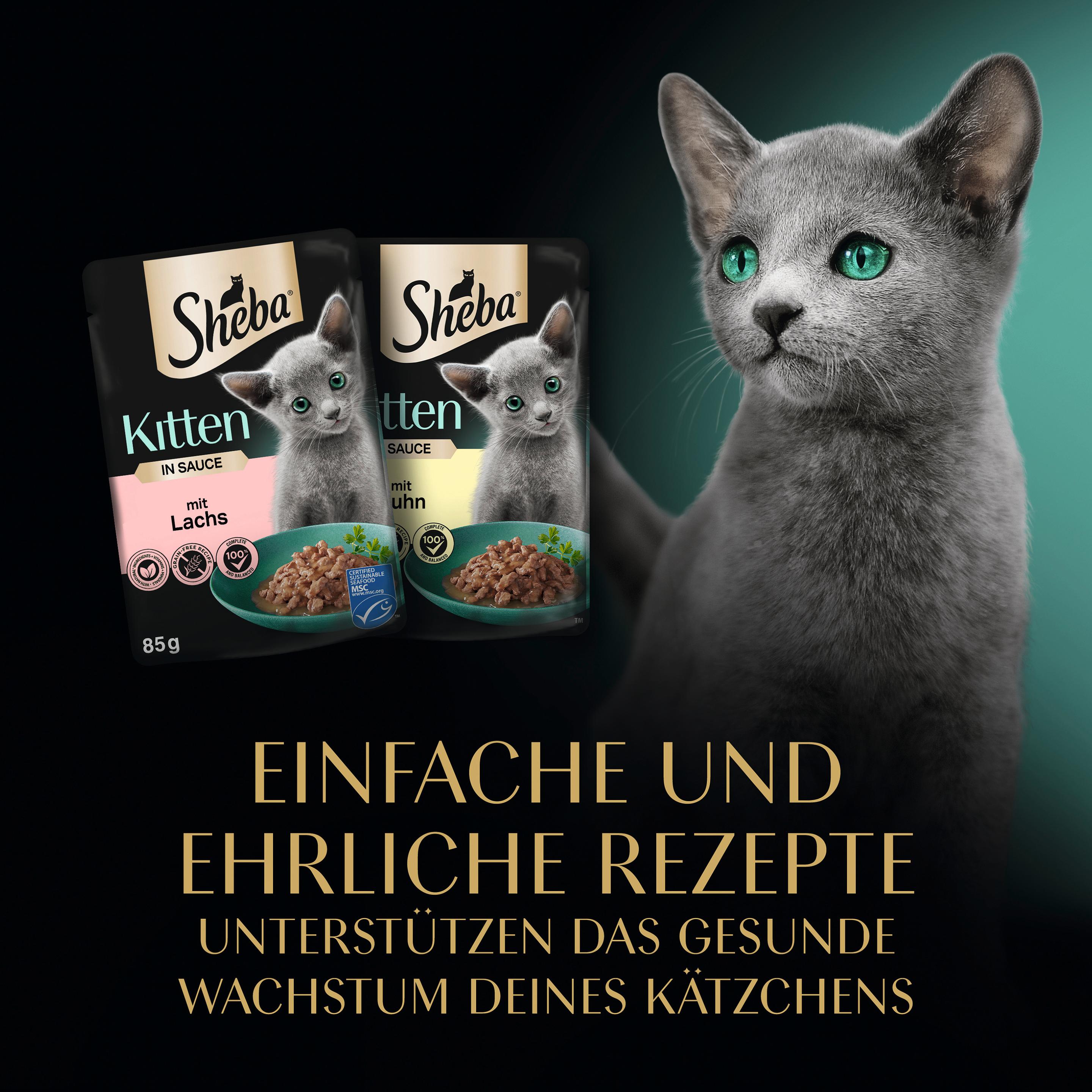 Produktbild Sheba Kitten in Sauce Feine Vielfalt 12x85g 9 von 14