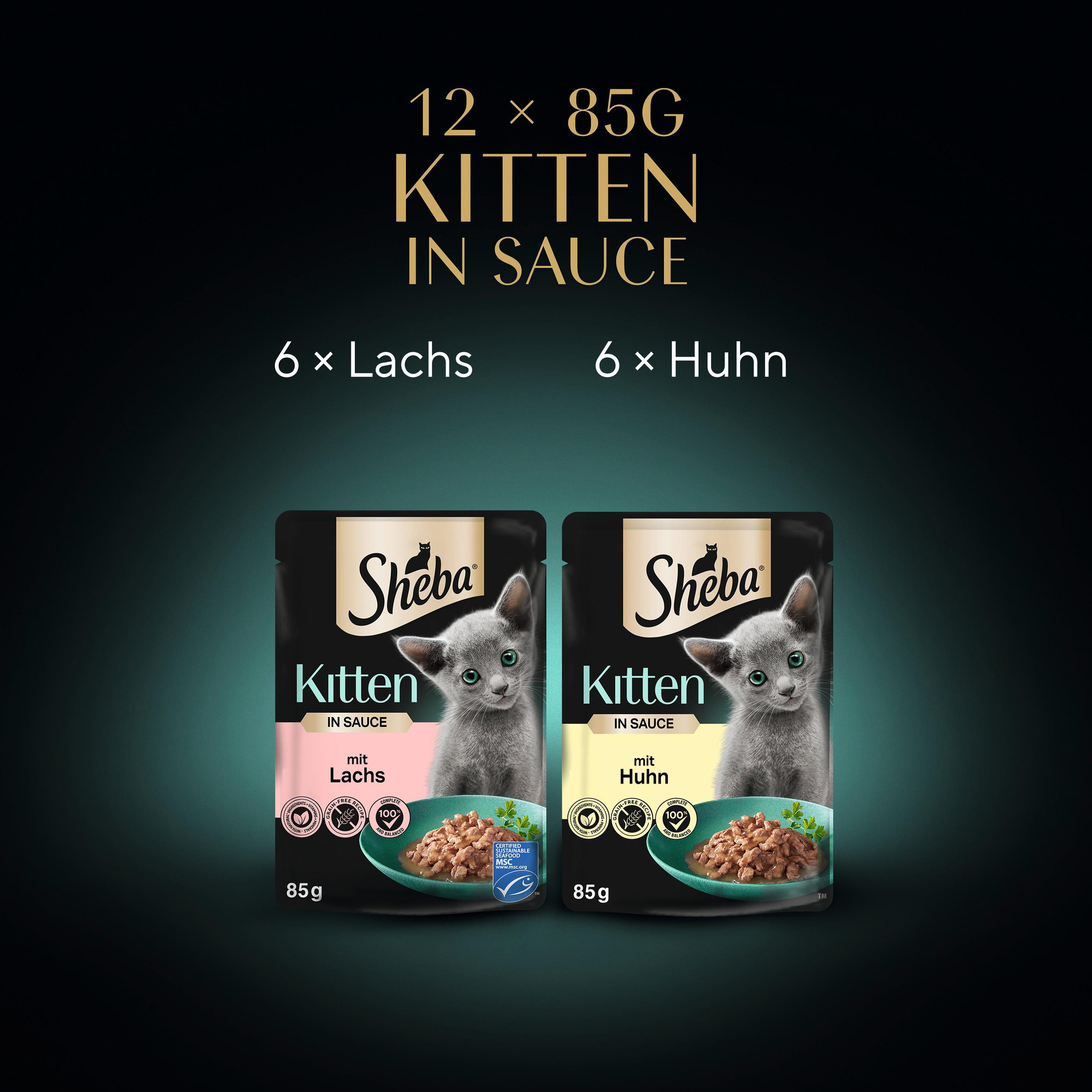 Produktbild Sheba Kitten in Sauce Feine Vielfalt 12x85g 7 von 14