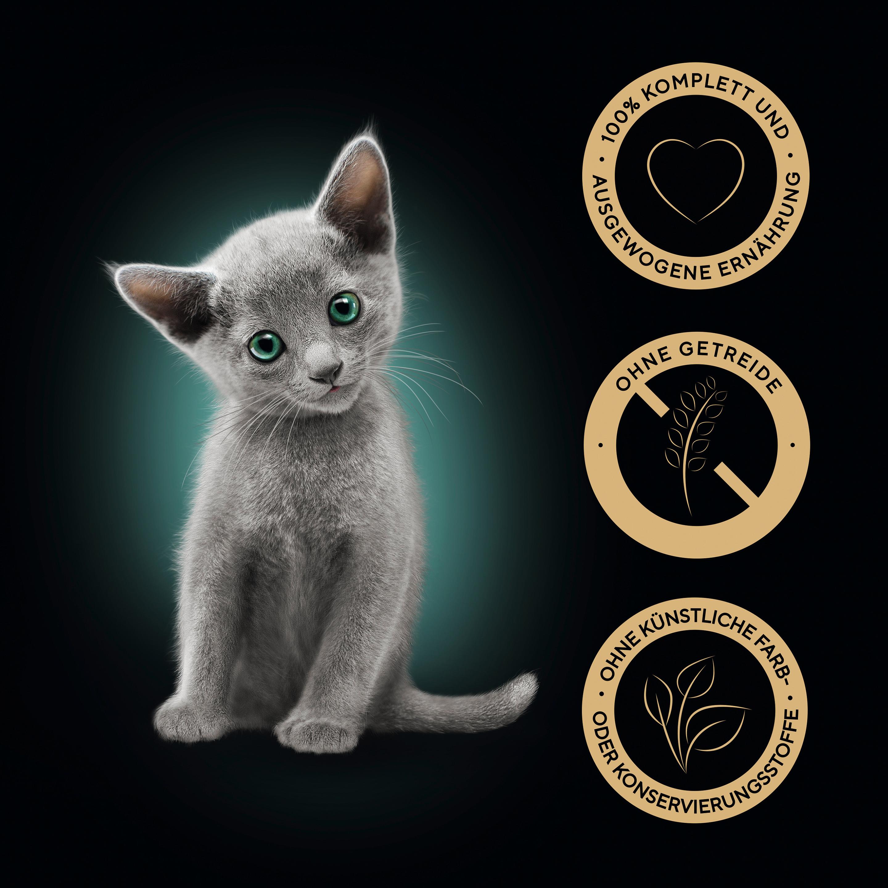 Produktbild Sheba Kitten in Sauce Feine Vielfalt 12x85g 14 von 14