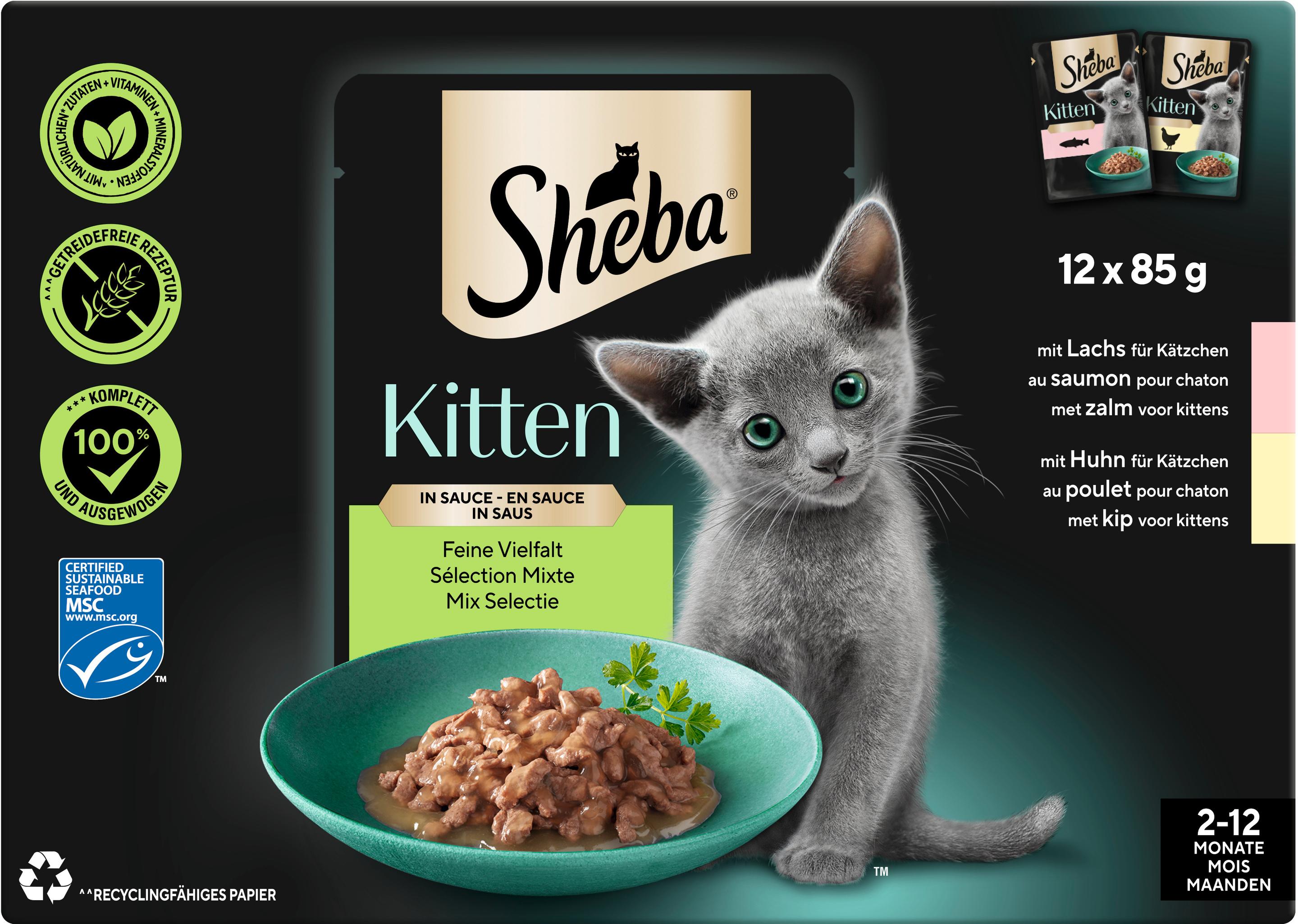 Sheba Kitten in Sauce Feine Vielfalt 12x85g