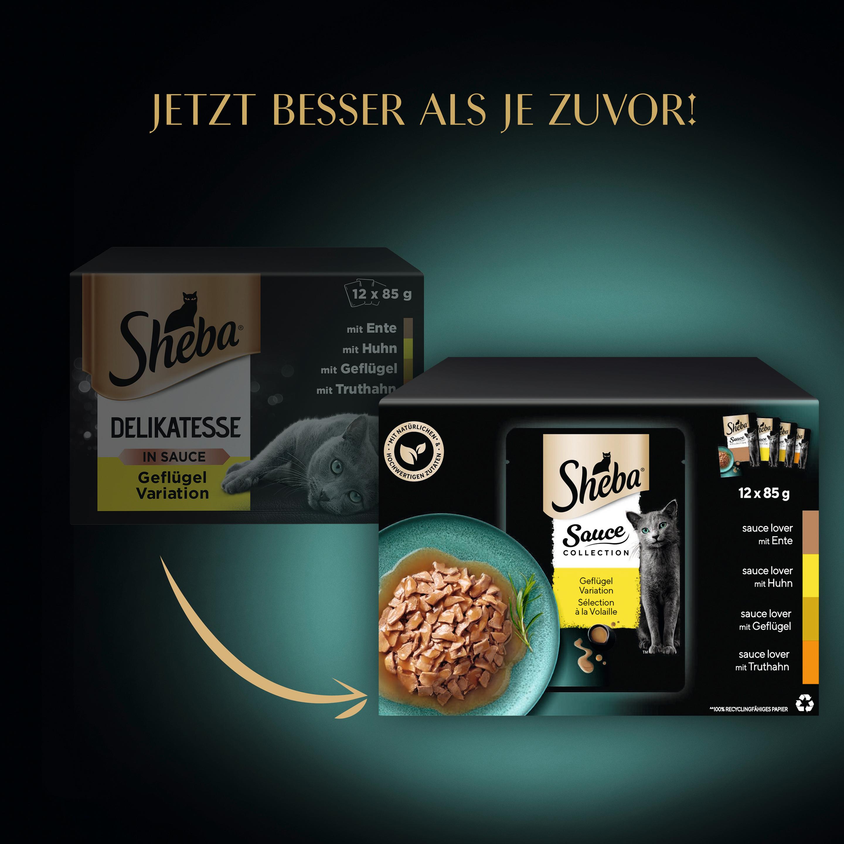 Produktbild SHEBA® Delikatesse in Sauce mit Geflügel Variation Portionsbeutel 12x85g 7 von 14