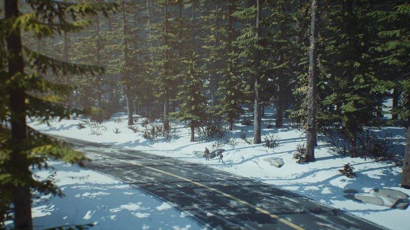 Produktbild Life is Strange 2 12 von 12