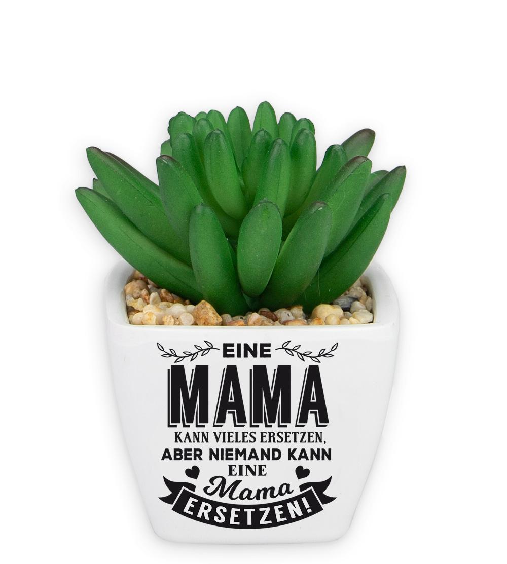 H&H Sukkulenten - Mama
