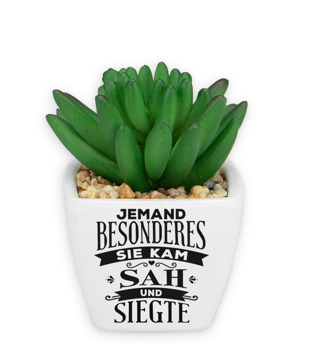 H&H Sukkulenten - Jemand besonderes