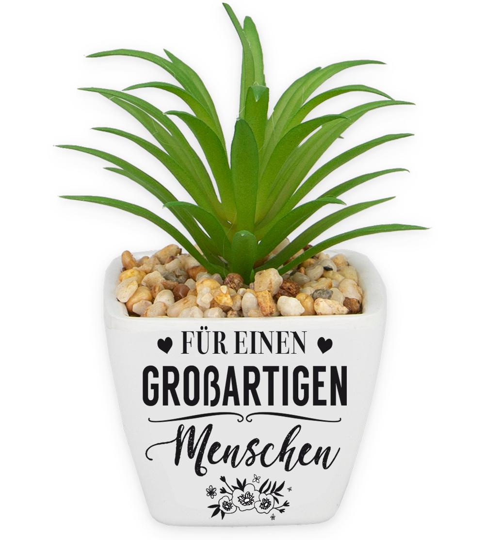 H&H Sukkulenten - Grossartiger Mensch