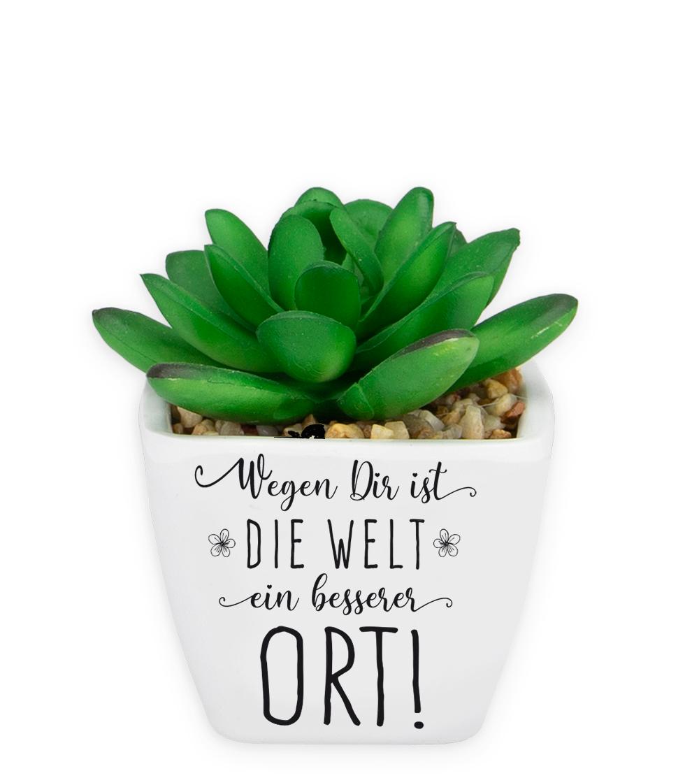 H&H Sukkulenten - Wegen Dir…
